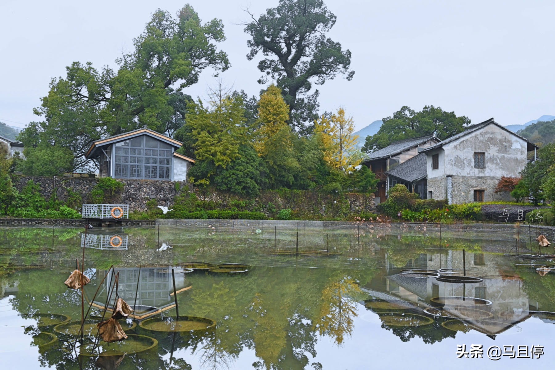 台州黄岩还有崛起的时候吗,黄岩有多强
