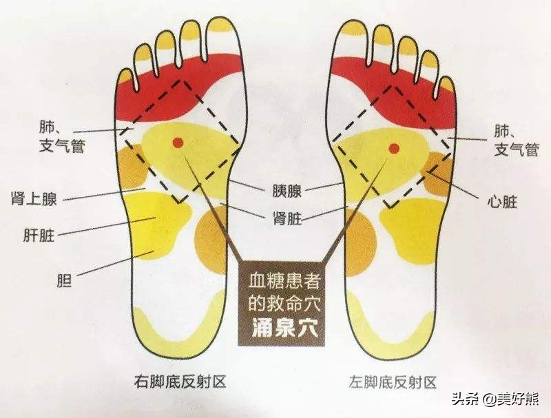 湿气是万病之源能诱发什么疾病,万病之源来源于湿寒淤堵