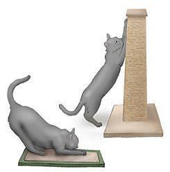 猫咪抓坏家具怎么办,防止猫咪乱抓挠家具的五个小妙招