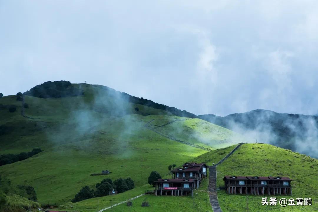 为什么云南女人长相好看,云南真的很漂亮吗