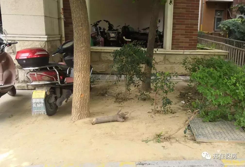 托斯卡纳乡下房子,托斯卡纳在哪个社区