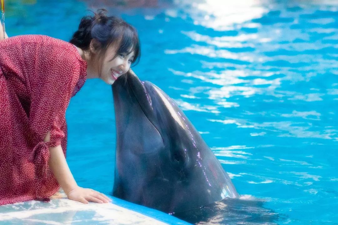 蓬莱美如画,蓬莱美景