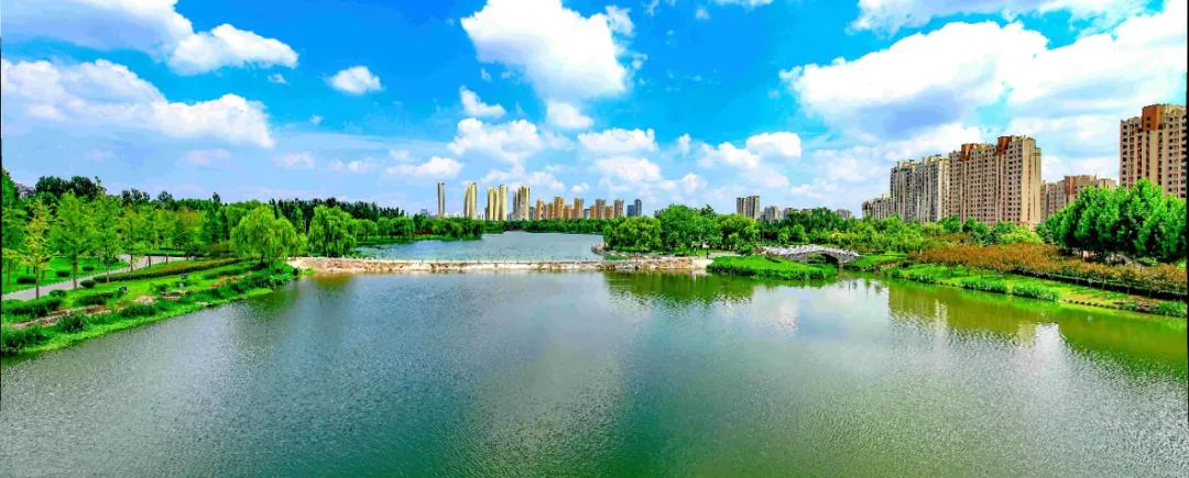 悦享莒南|惊艳了莒南蓝，温暖了遇见