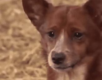 街机格斗带来的快感,街机格斗游戏技巧