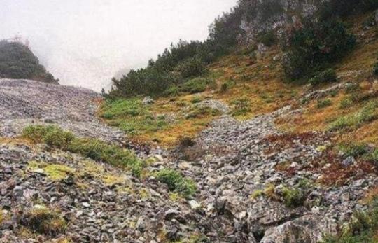 *击狙**手的伪装能力究竟有多强？很少有人能在3秒内全部发现的