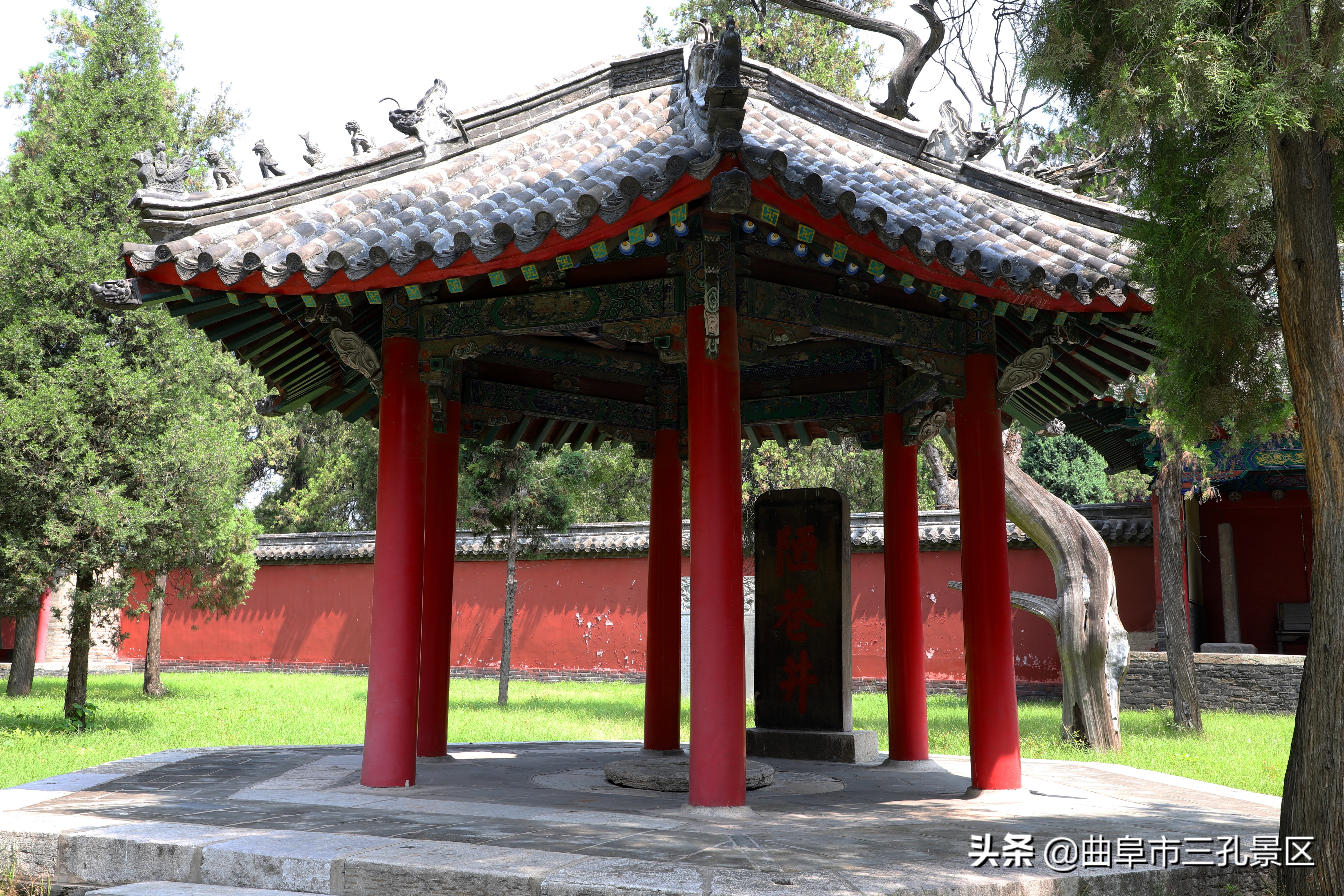 曲阜三孔门票免费规定旅游攻略,曲阜三孔景区门票免费政策最新