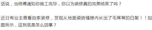 瓷砖勾缝剂反碱怎么解决,瓷砖填缝剂返碱的原因