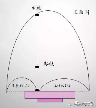 小原流插花入门,花意匠插花视频