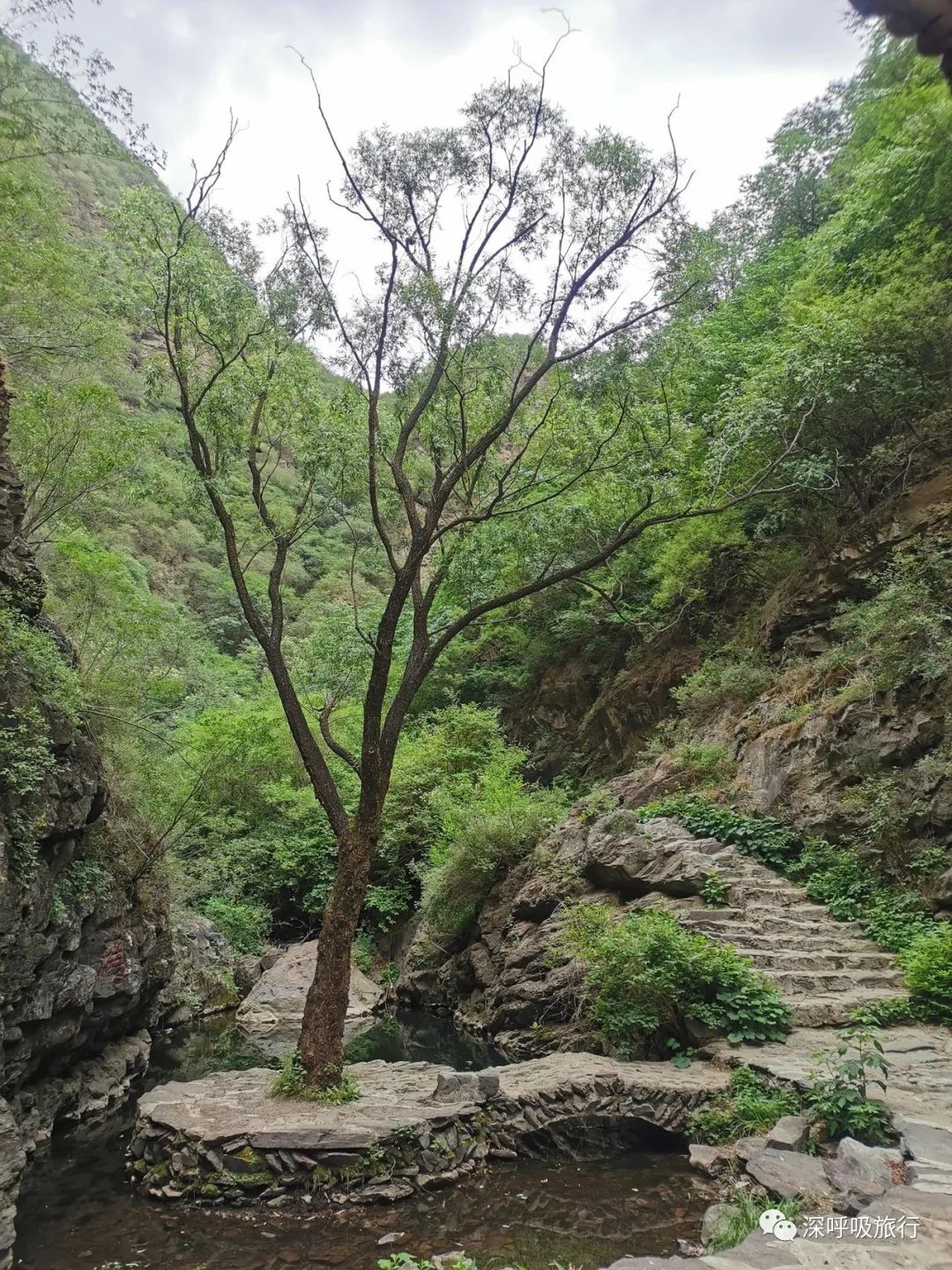 京西小九寨百瀑谷,京西双龙峡小火车图片