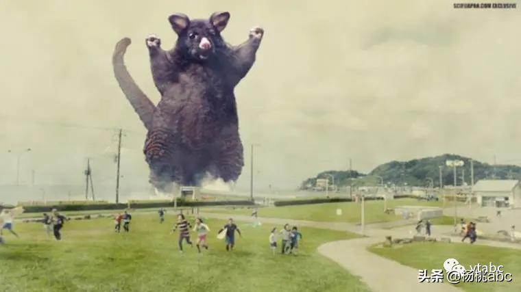 带你看新西兰风景,去看一次新西兰风景