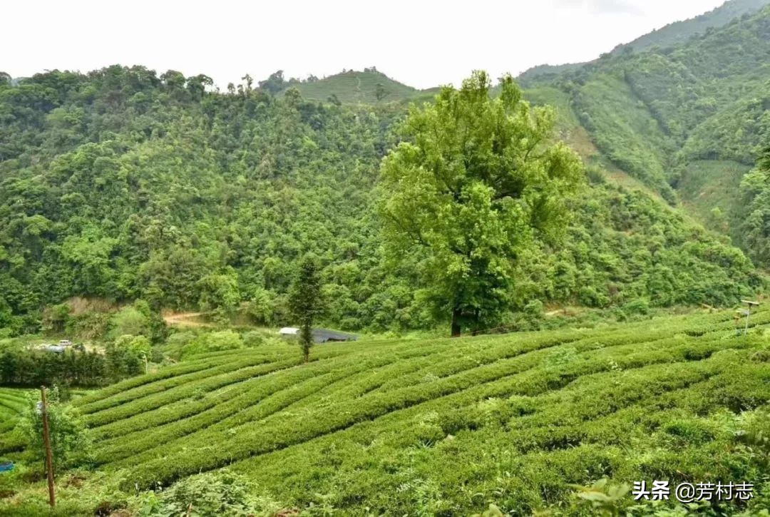 遇见·预见|开眼界！大广州下冰雹；国内油价将4连涨