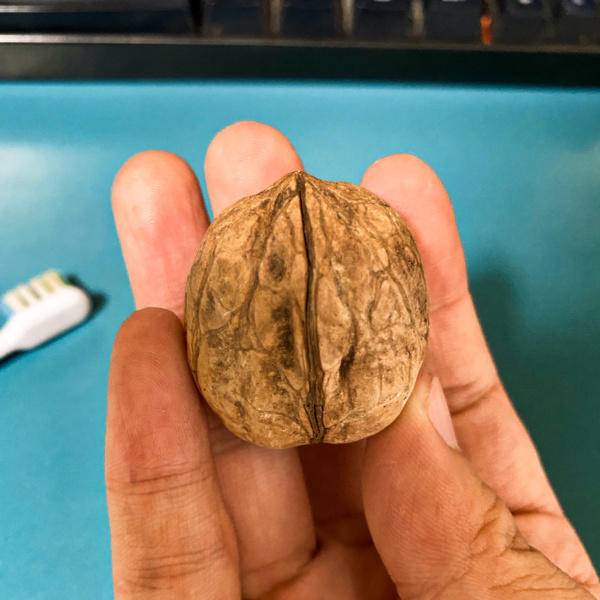 如何挑选适合自己的电动牙刷,如何挑选正确的电动牙刷