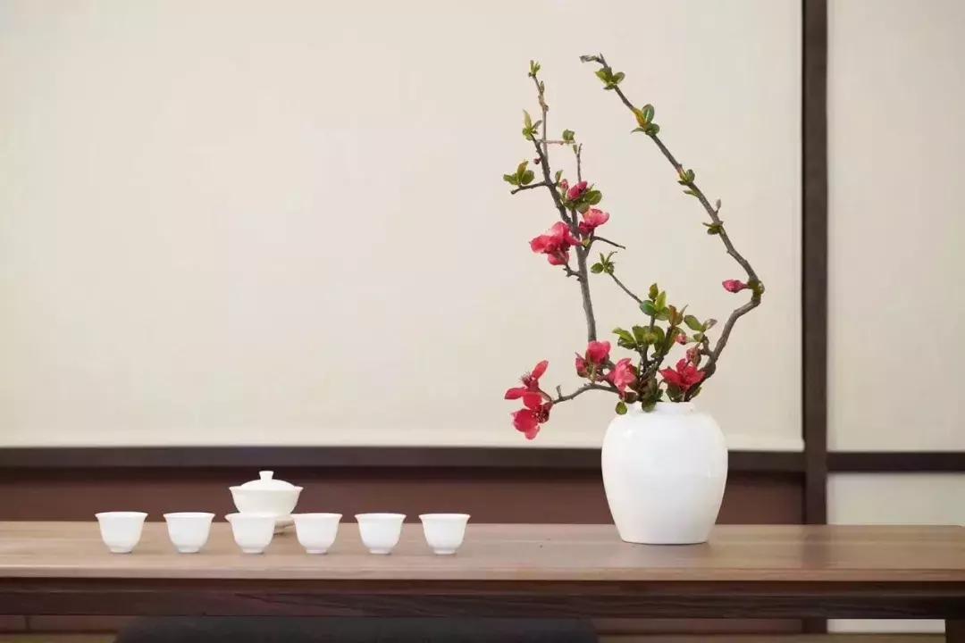 茶人茶事每天最大的乐趣就是喝茶,喝茶感悟与茶相伴的日子