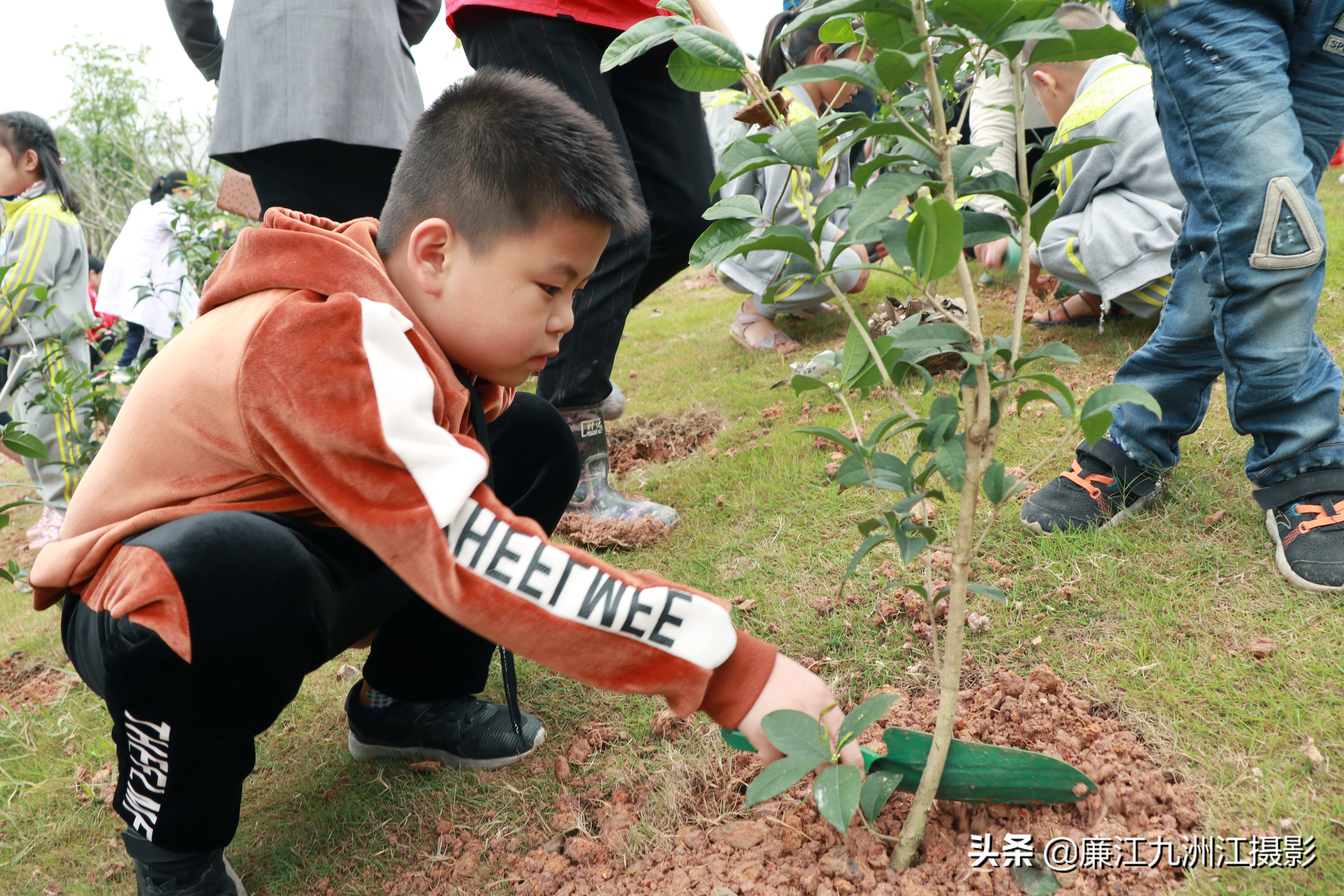 种下希望让梦想发芽舞蹈,种下希望让梦想发芽