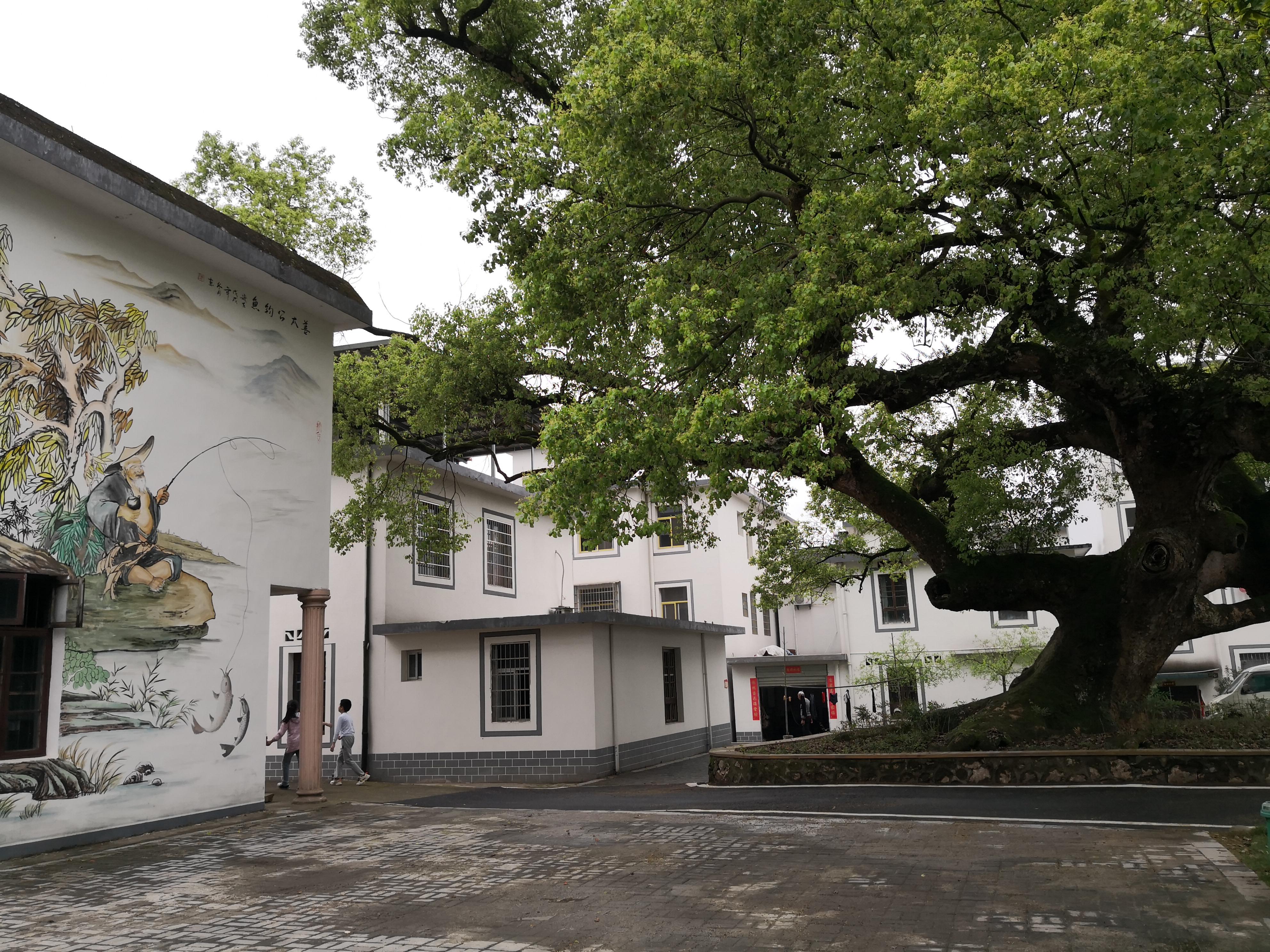 妈妈那边的亲戚称呼大全,山东亲属称呼大全