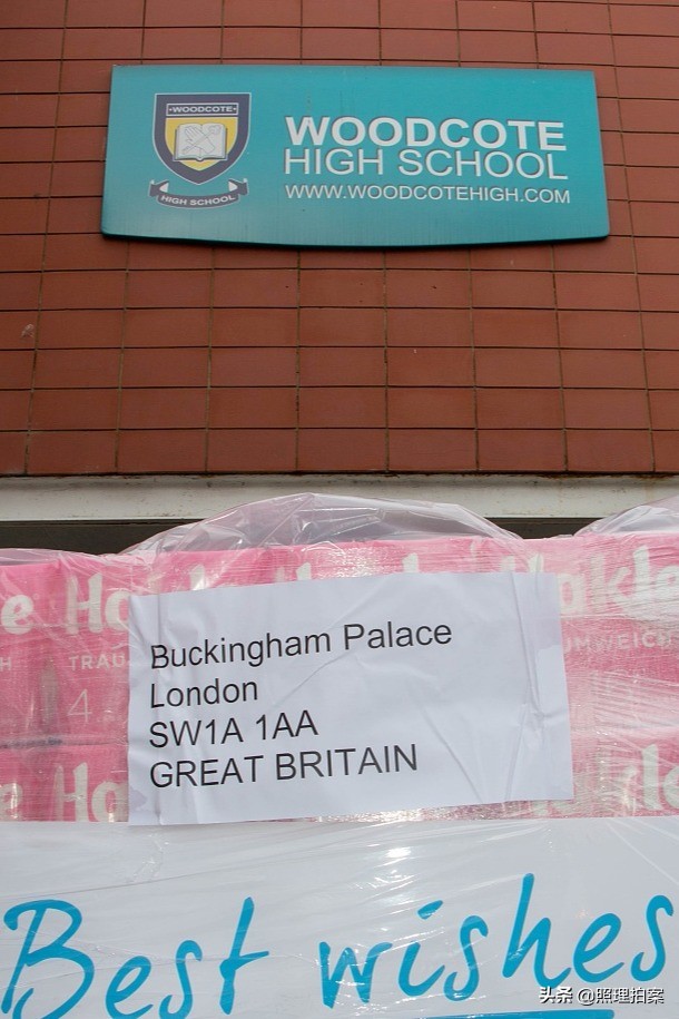 德国企业为何要送英国女王卫生纸,是怕她没钱买,还是为了蹭流量