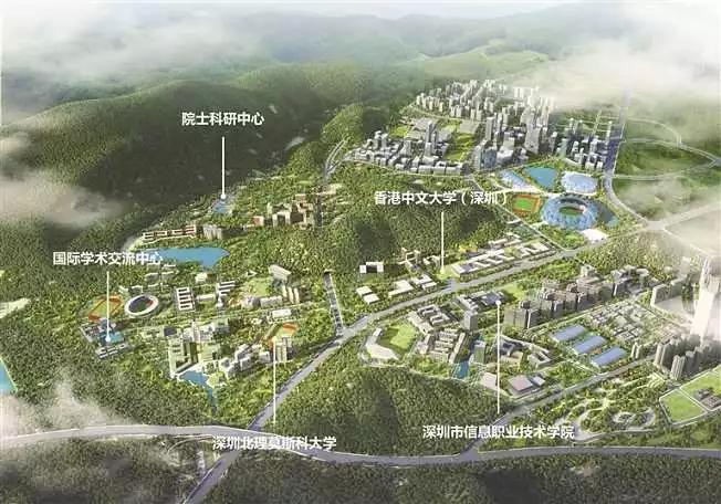 深圳龙岗区未来前景,深圳被高估