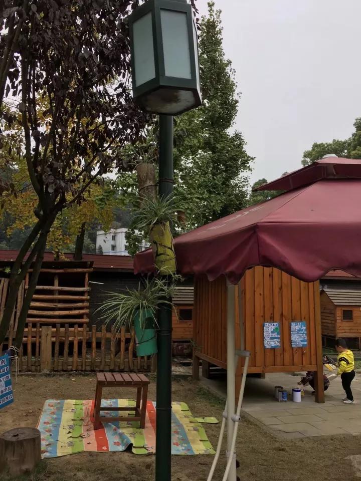 4.13重庆逐梦歌乐山上的“巴学园”探索“世界级乡村幼儿园