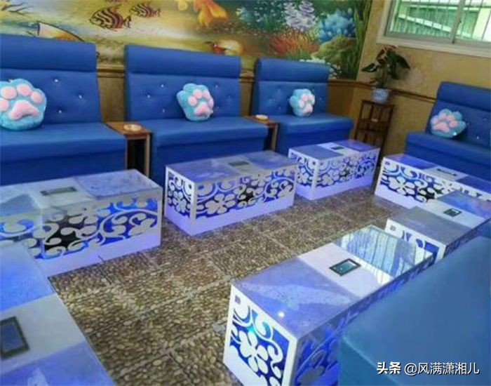 做鱼疗导致鱼儿全死原因,做鱼疗导致鱼儿全死搞笑视频