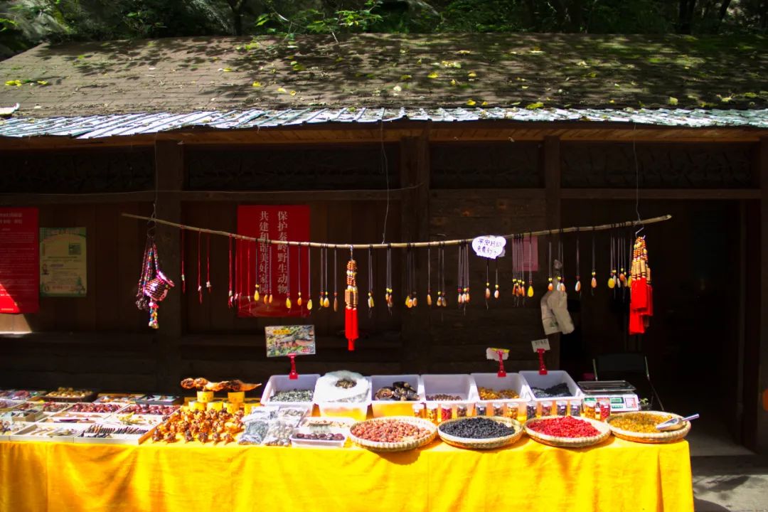 索道9公里,太平山索道80一个来回多久