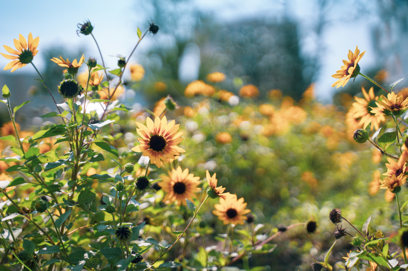 不仅仅是皮革,海清潮静——海宁