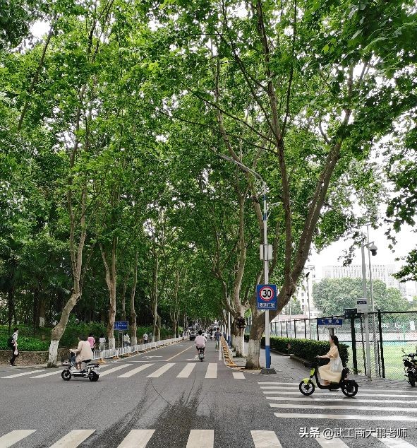 华中科技大学合并历史,华中科技大学合并前的重点学科