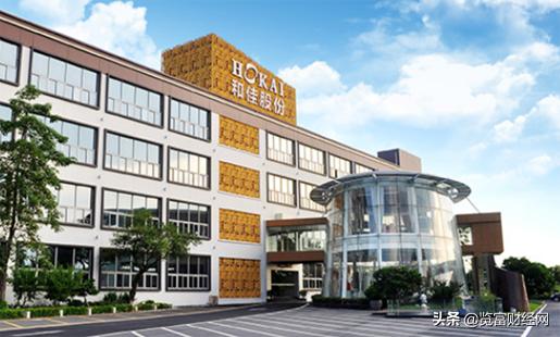 和佳医疗：肿瘤多学科综合治疗先行者，高质量医疗发展迎新机遇