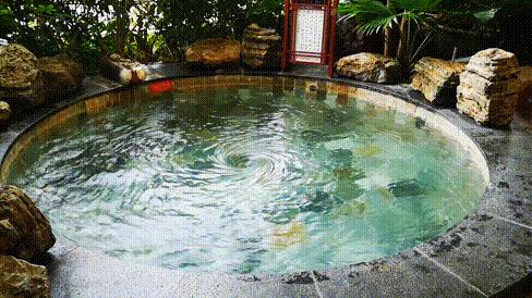 韶关经律论温泉度假村详细地址,韶关经律论温泉周边住宿