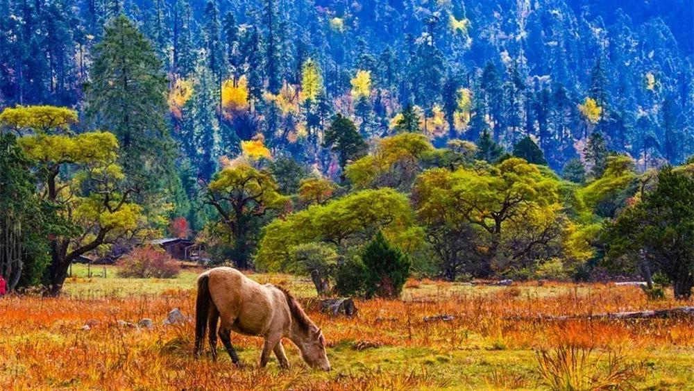 11月适合去旅行的著名风景推荐,10月11月适合旅游的地方