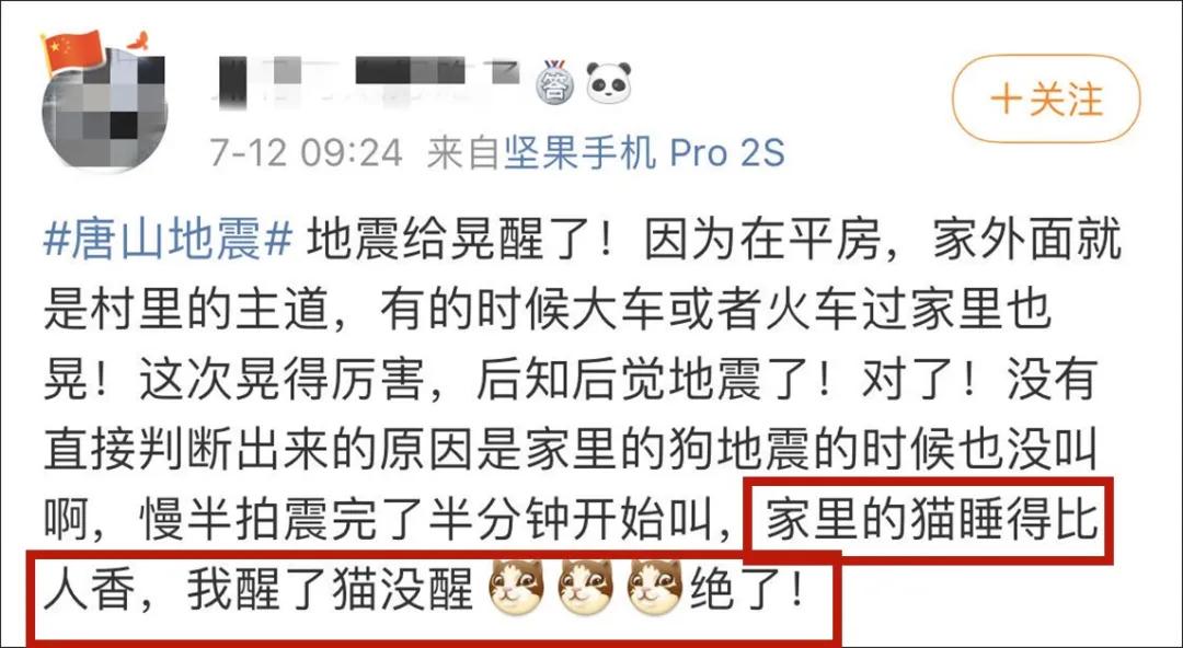 猫地震的时候没有反应,地震了猫会有反应吗