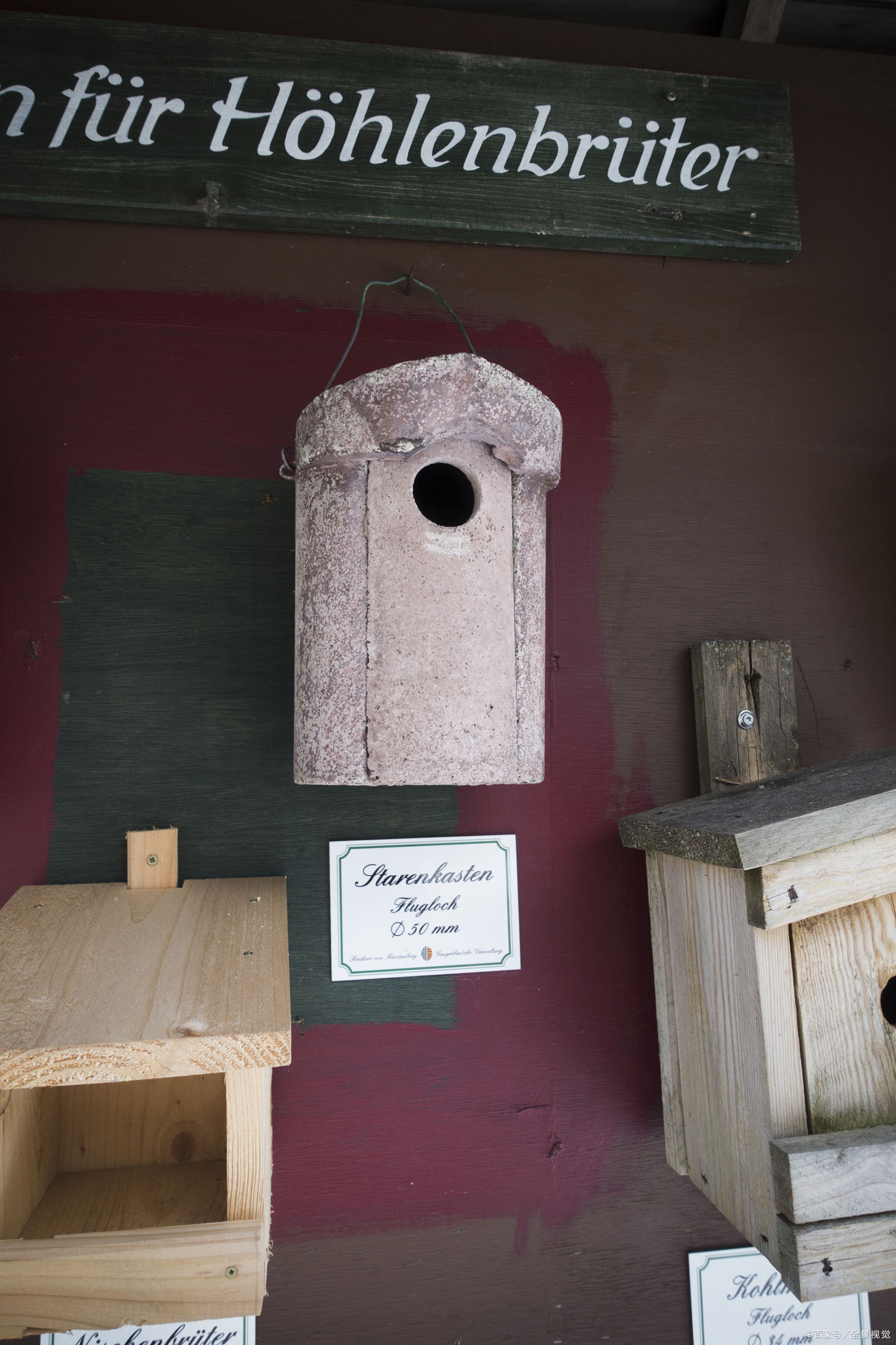 谁对“克隆人”负责