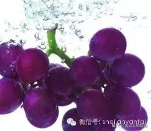 比较高档的水果有哪些,高档水果有哪些进口