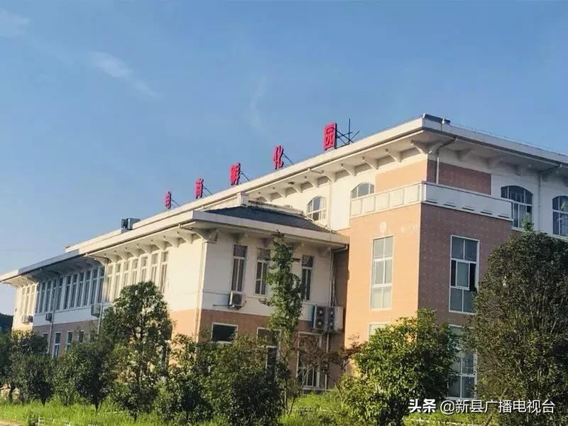 H5、淘宝开店、办公软件......全部都是免费教!6月10日约么?