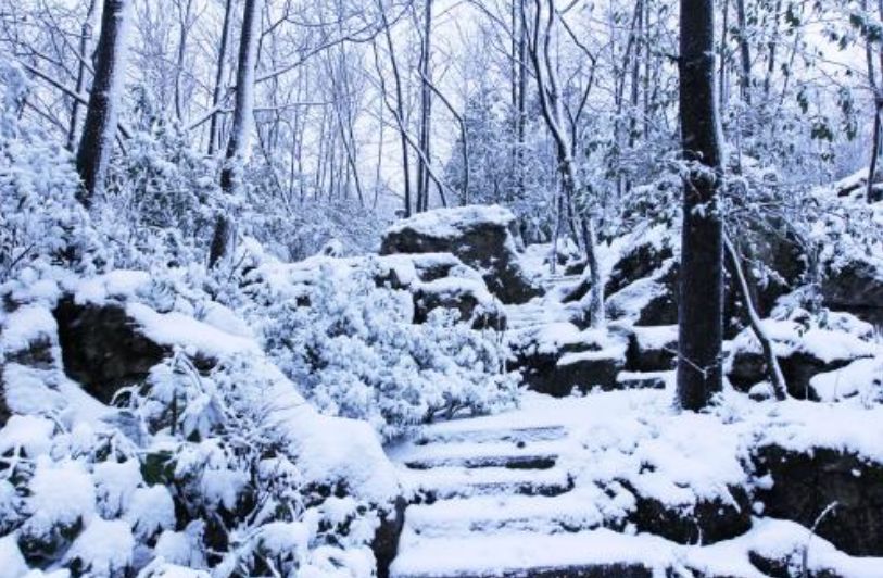 春天梅花开原创诗句,原创诗词梅开二度