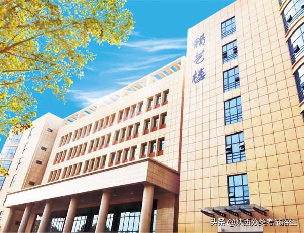 陕西省工业职业技术学院重点专业,陕西省工业技术学院排名