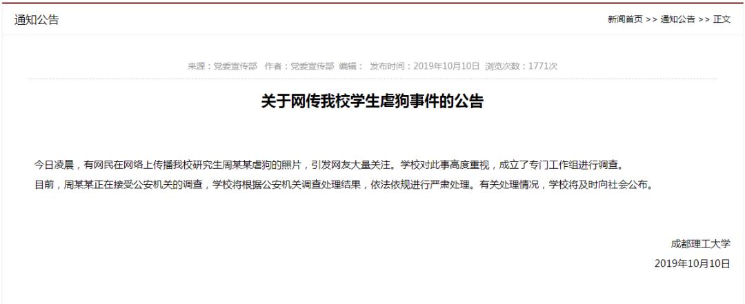 高校研究生杀流浪狗,成都高校研究生虐狗事件