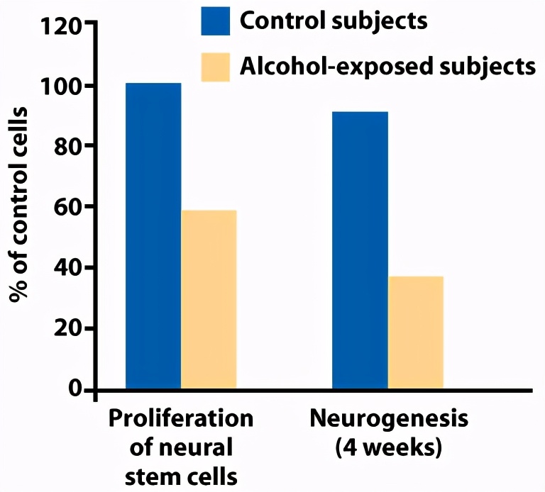 为什么少儿不能喝酒?酒精与学习成绩