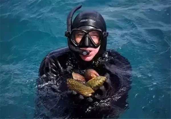 世界顶级鲍鱼菜图片,世界鲍鱼体型十大排行榜