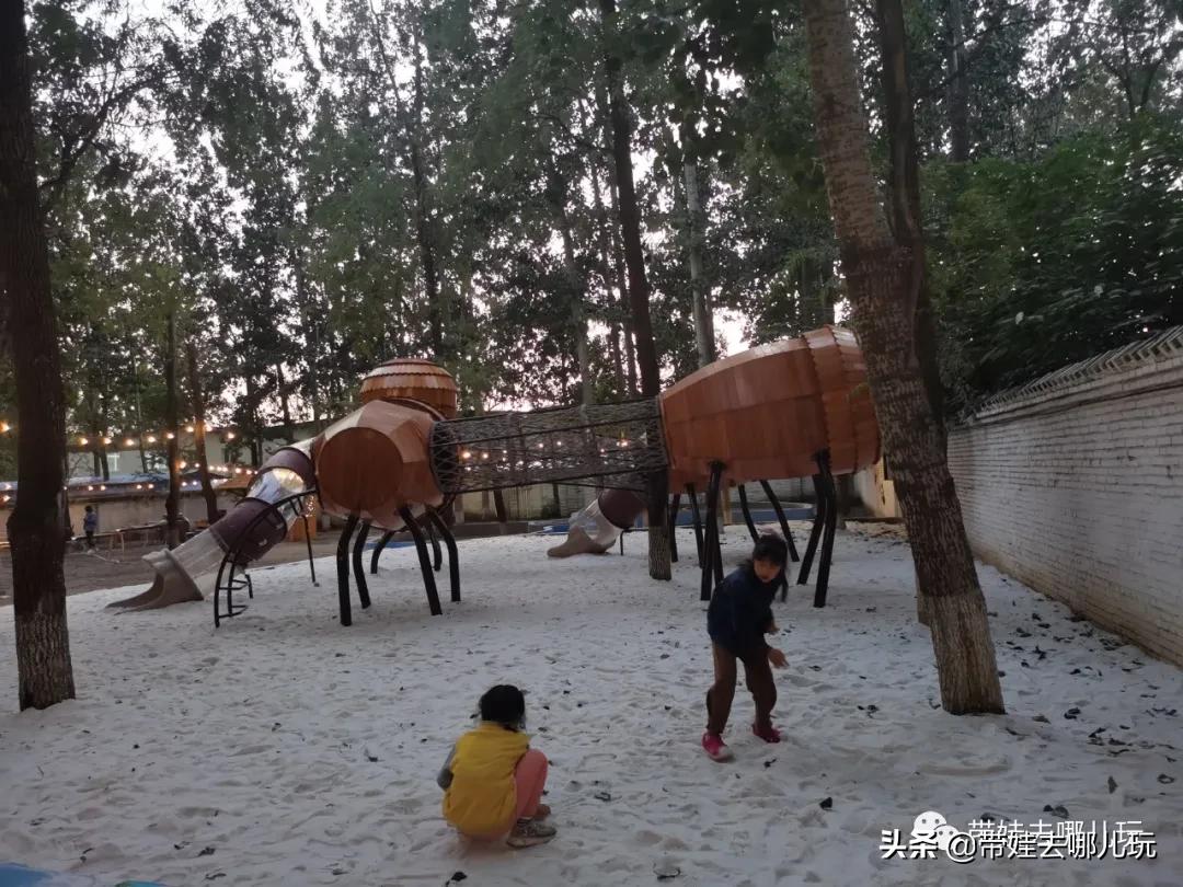 北京五环内新开萌宠乐园，除了喂动物，还能玩大滑梯、免费享帐篷