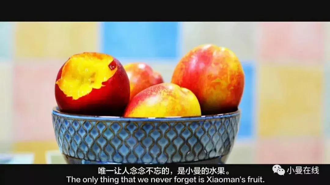 水果项目商业计划书,水果计划书的产品营销策略