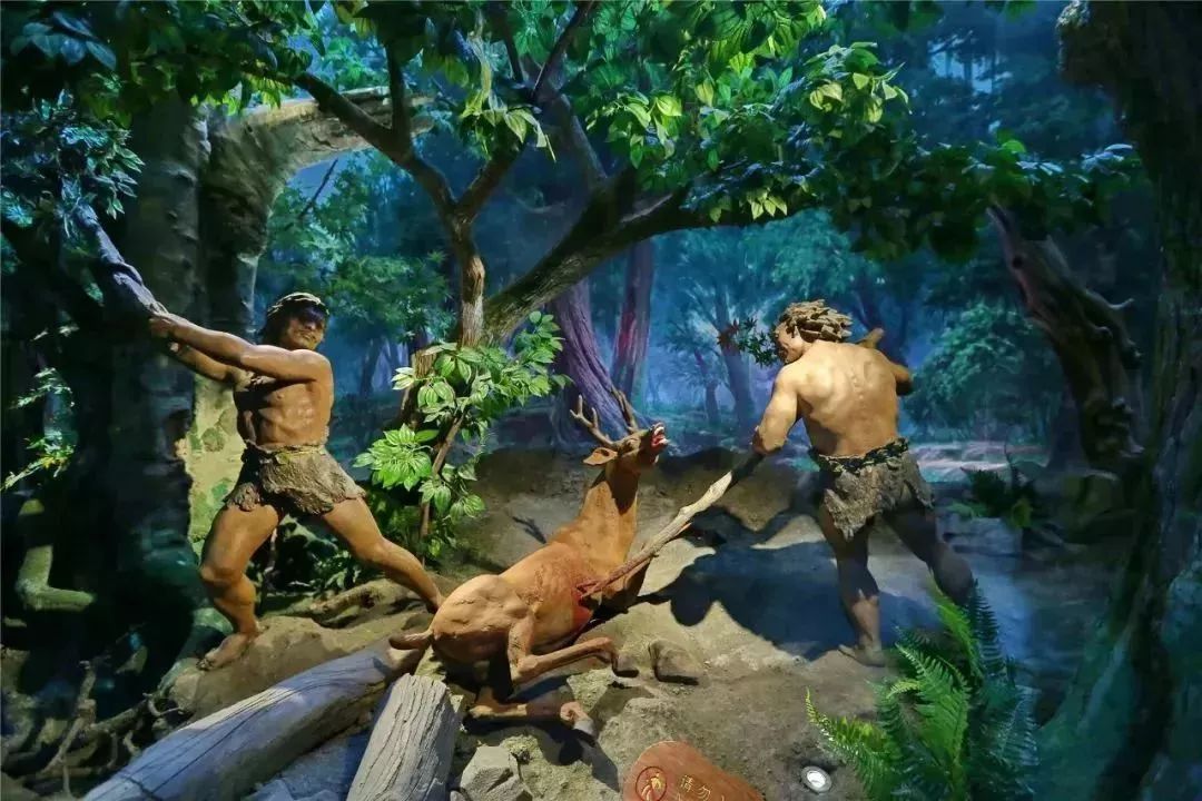 松江区夏日游玩攻略,松江古镇旅游攻略一日游