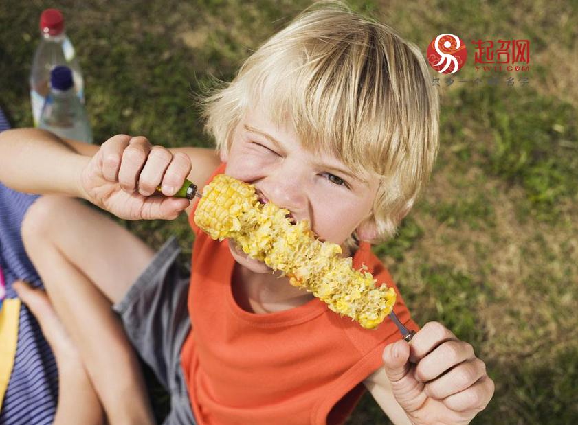 高姓男孩儒雅名字,儒雅古风男孩名字