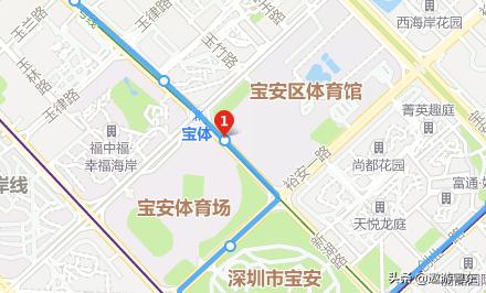 顶尖少儿篮球训练营,暑假少儿篮球训练营封闭式30天