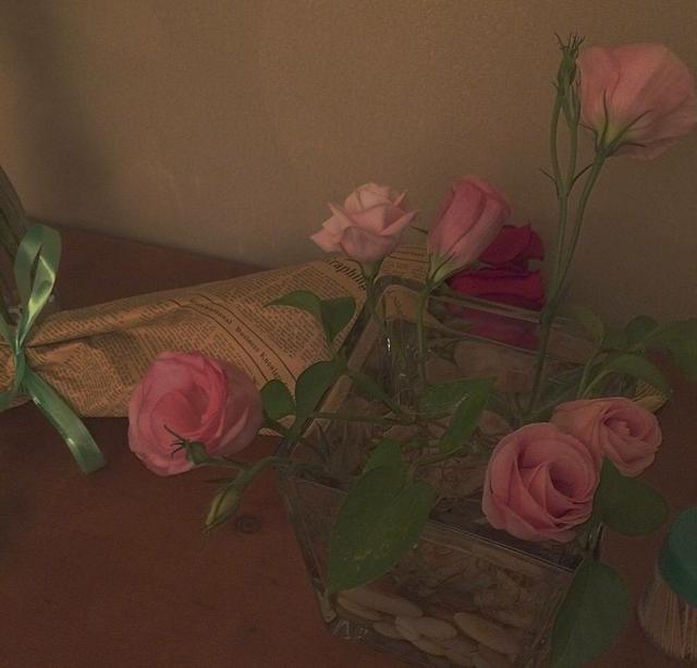 关于纯爱的小说金句,各部甜文小说经典语录