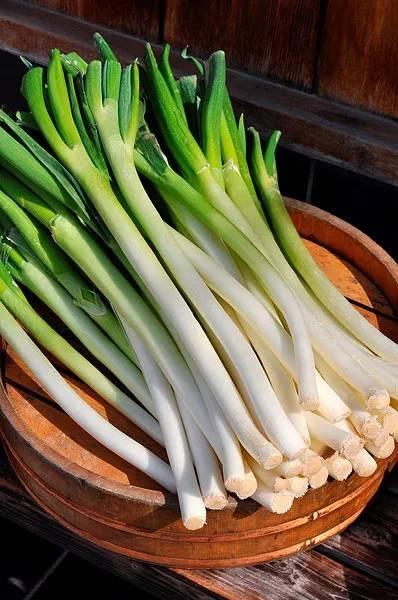 闲侃餐桌的知识,闲侃