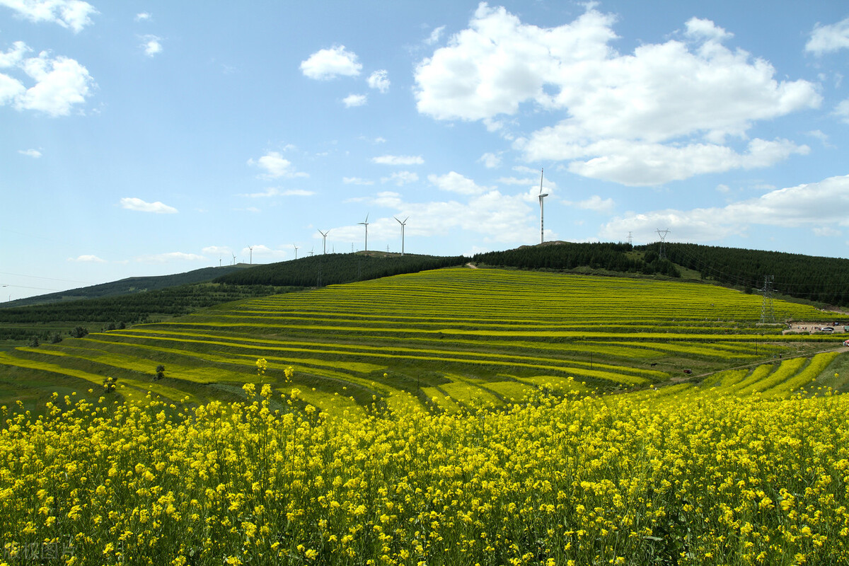 多囊卵巢根源是肝、脾、肾功能失调，这碗汤饮也许能帮到你