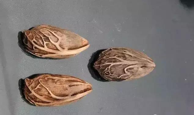 认识了70种菩提，您就是半个专家，再逛文玩市场就没有压力啦！