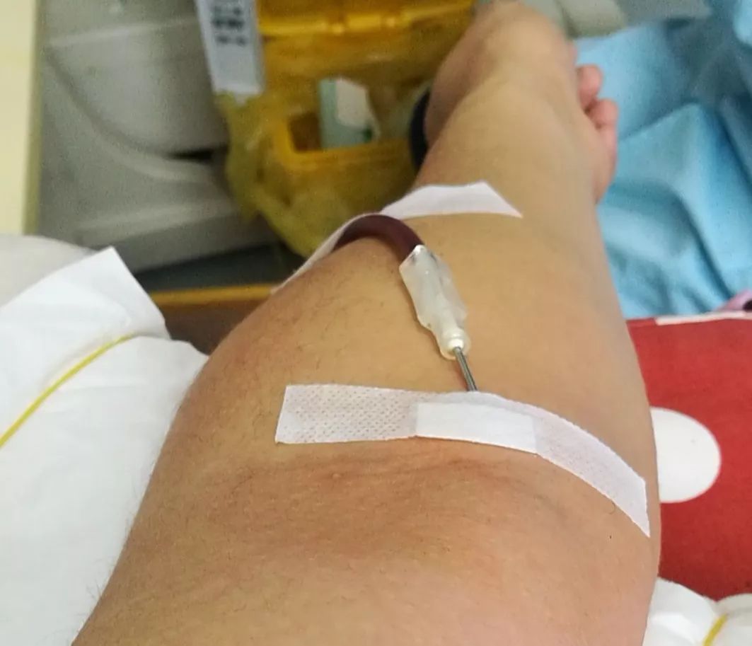 献血小知识视频,献血小知识宣传怎么介绍