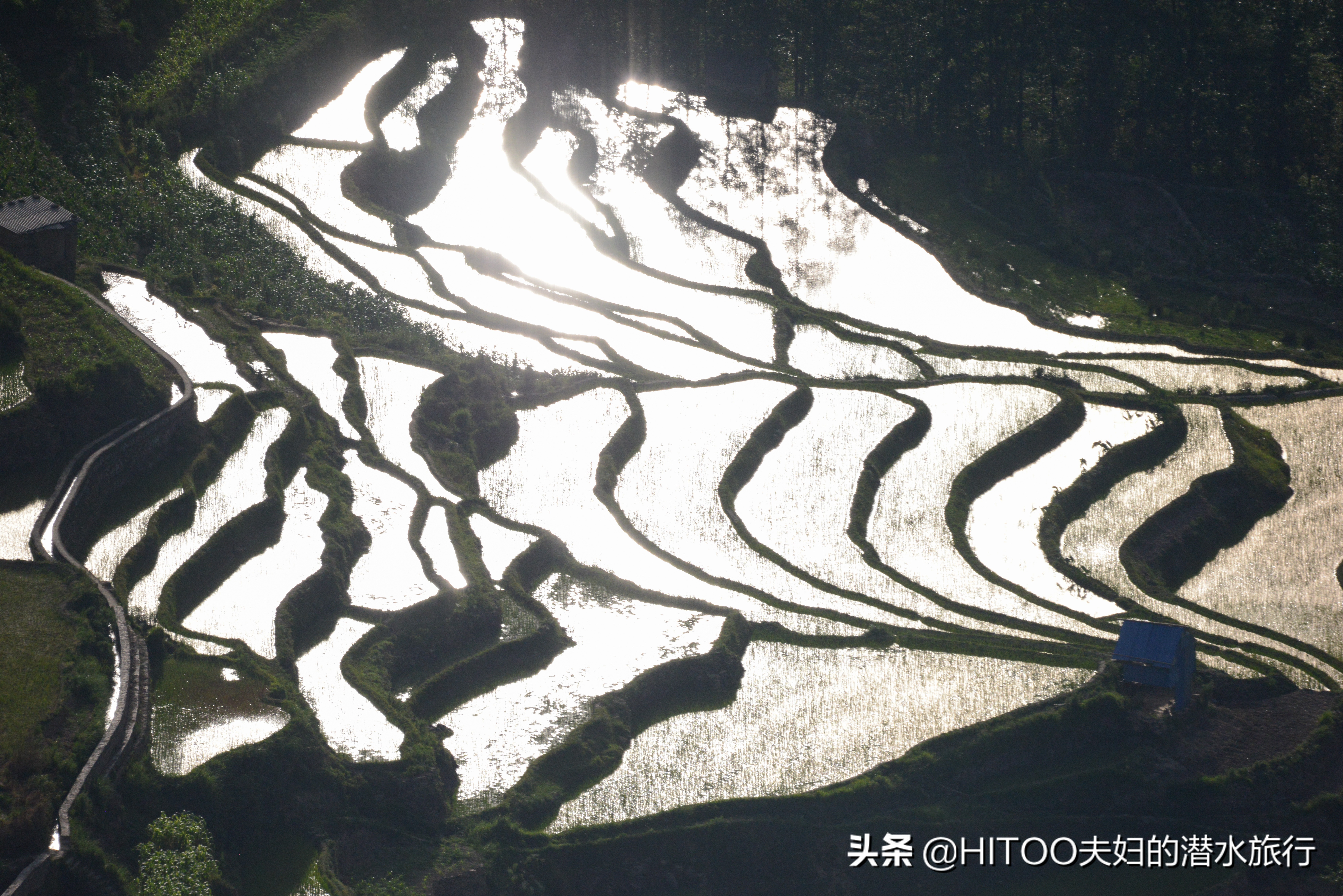 自驾元阳梯田旅游攻略时间,元阳梯田自驾游玩攻略路线