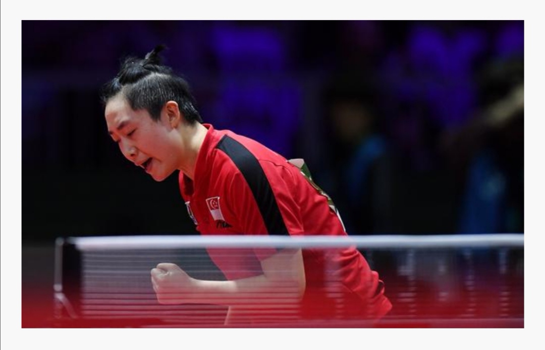 国乒“四大海外使者”,墙内开花,墙外香